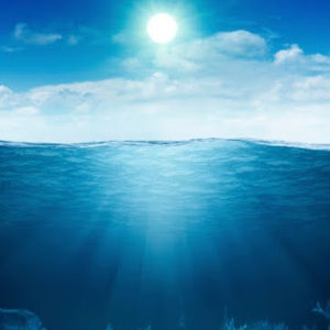 Meet your Posher, Adriano